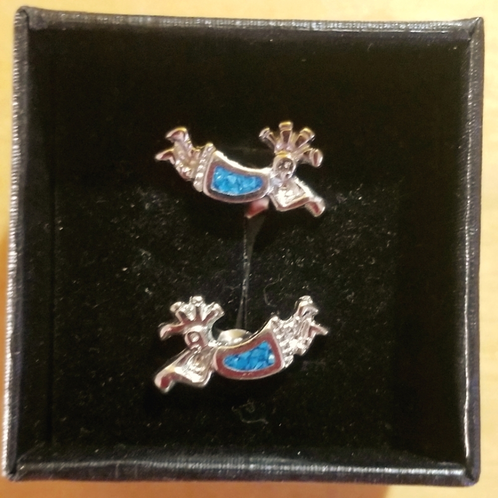 Turqious earrings